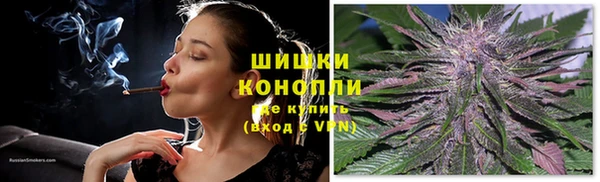 ГАЛЛЮЦИНОГЕННЫЕ ГРИБЫ Горняк