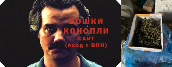 ГАЛЛЮЦИНОГЕННЫЕ ГРИБЫ Горняк