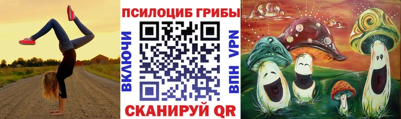 Псилоцибиновые грибы мицелий  Агидель 